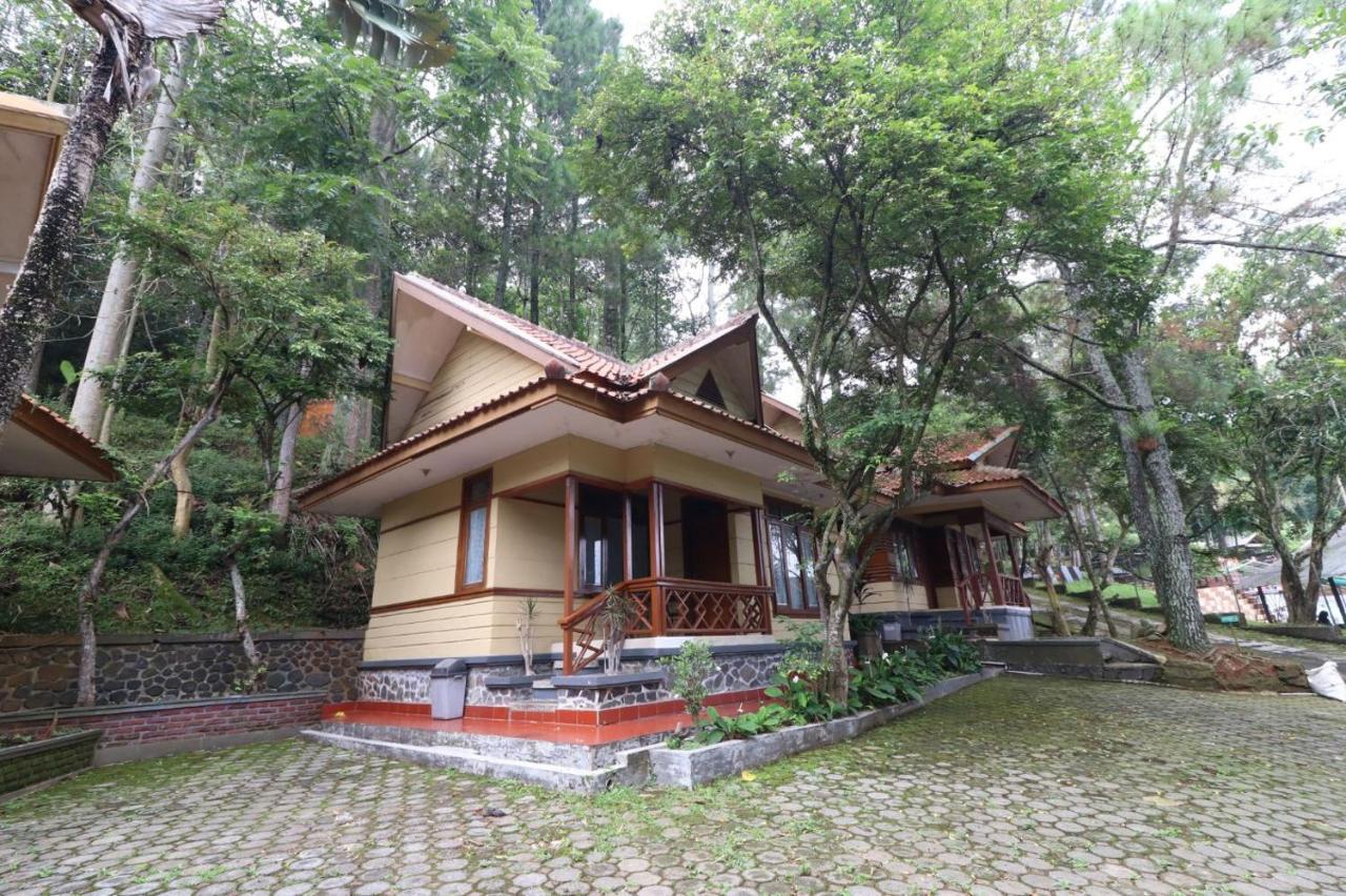 Kampung Pa'go